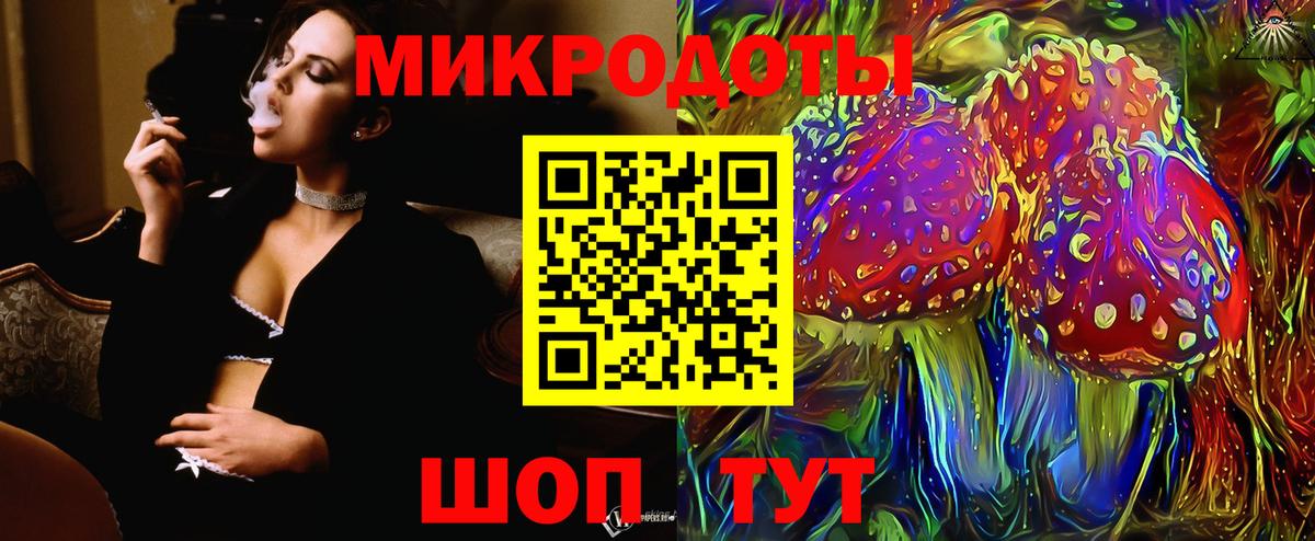 Галлюциногенные грибы Psilocybine cubensis Керчь